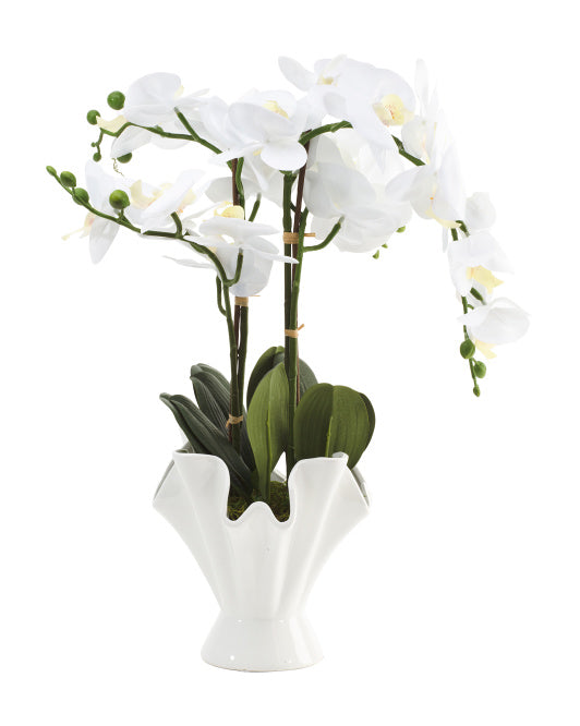 24" Potted Faux Orchid In Ceramic Pot-0